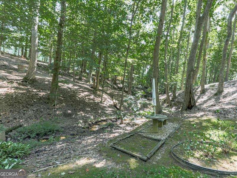 5855 Wills Lake Road Cumming - Photo 51