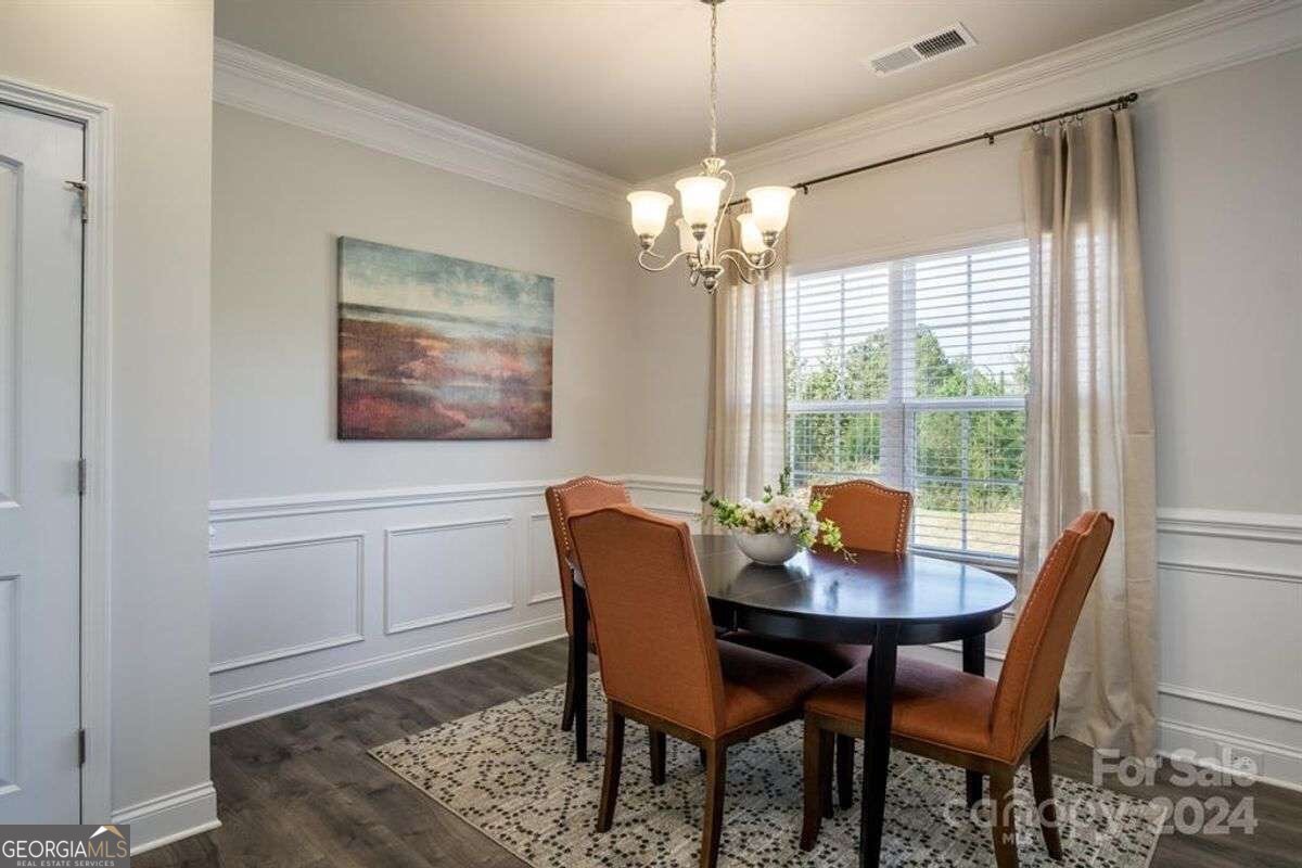 255 Eason Street Bowdon - 7