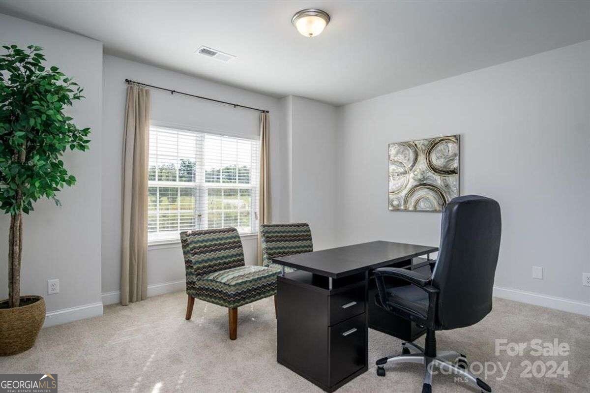 255 Eason Street Bowdon - 8