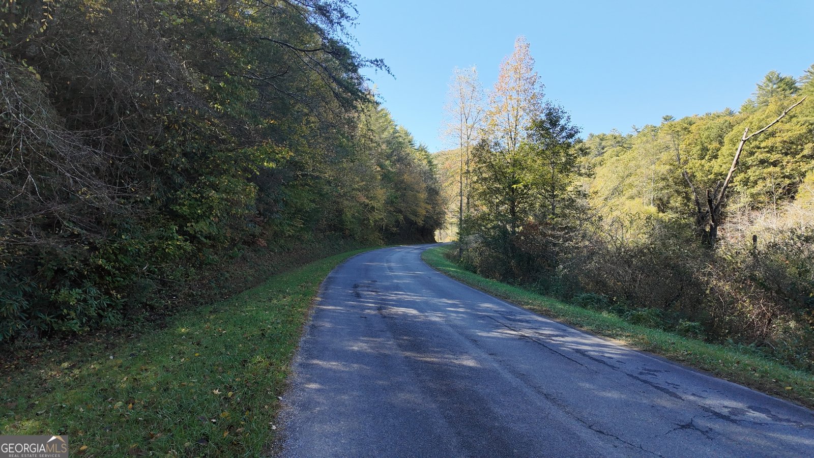 824 Conasauga Road Ellijay - 11