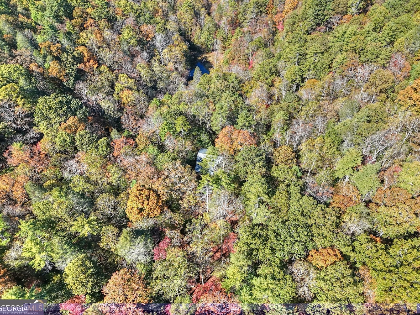 824 Conasauga Road Ellijay - 12