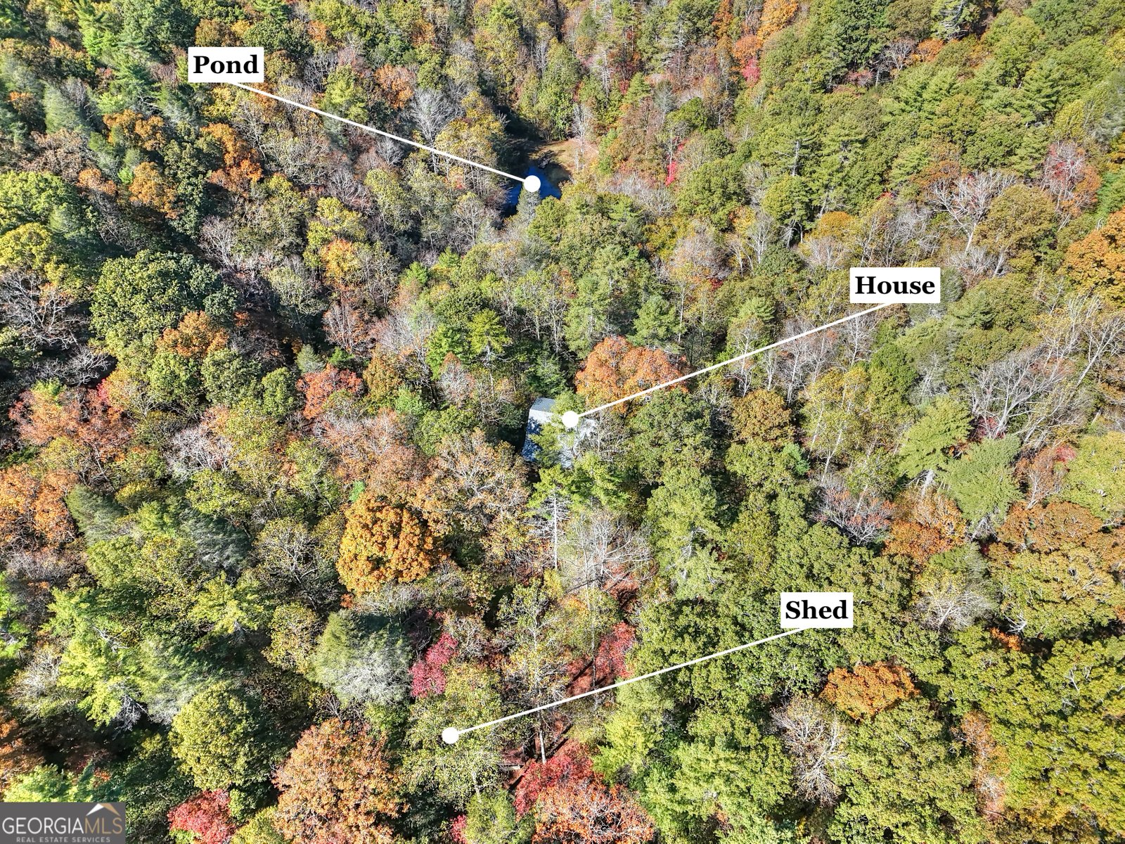 824 Conasauga Road Ellijay - 13