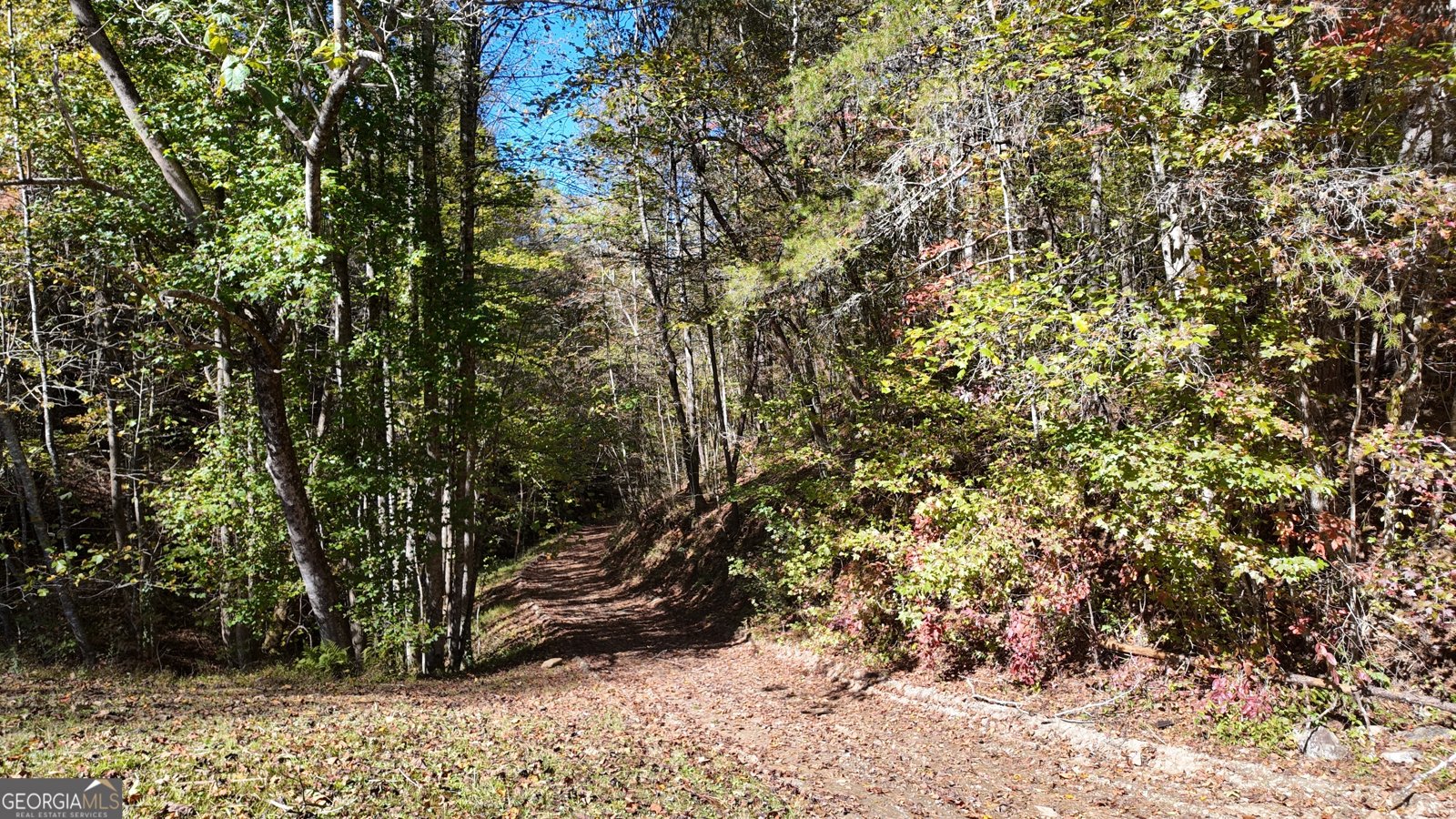 824 Conasauga Road Ellijay - 14