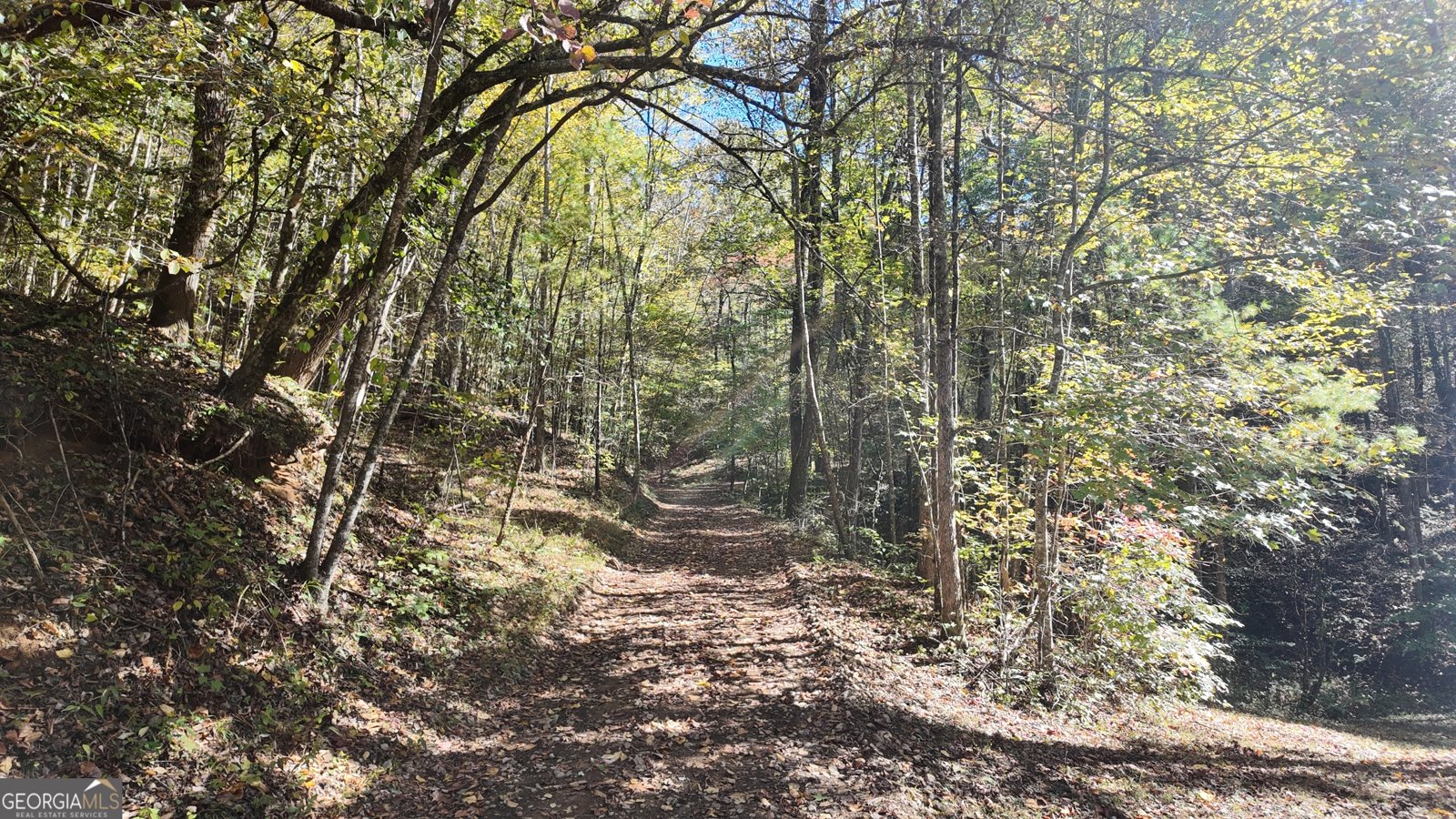 824 Conasauga Road Ellijay - 15