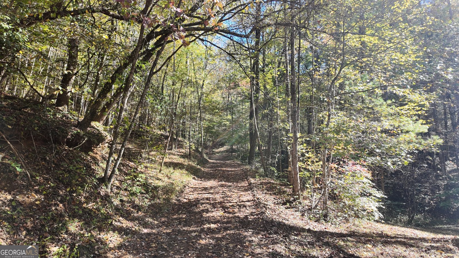 824 Conasauga Road Ellijay - 16