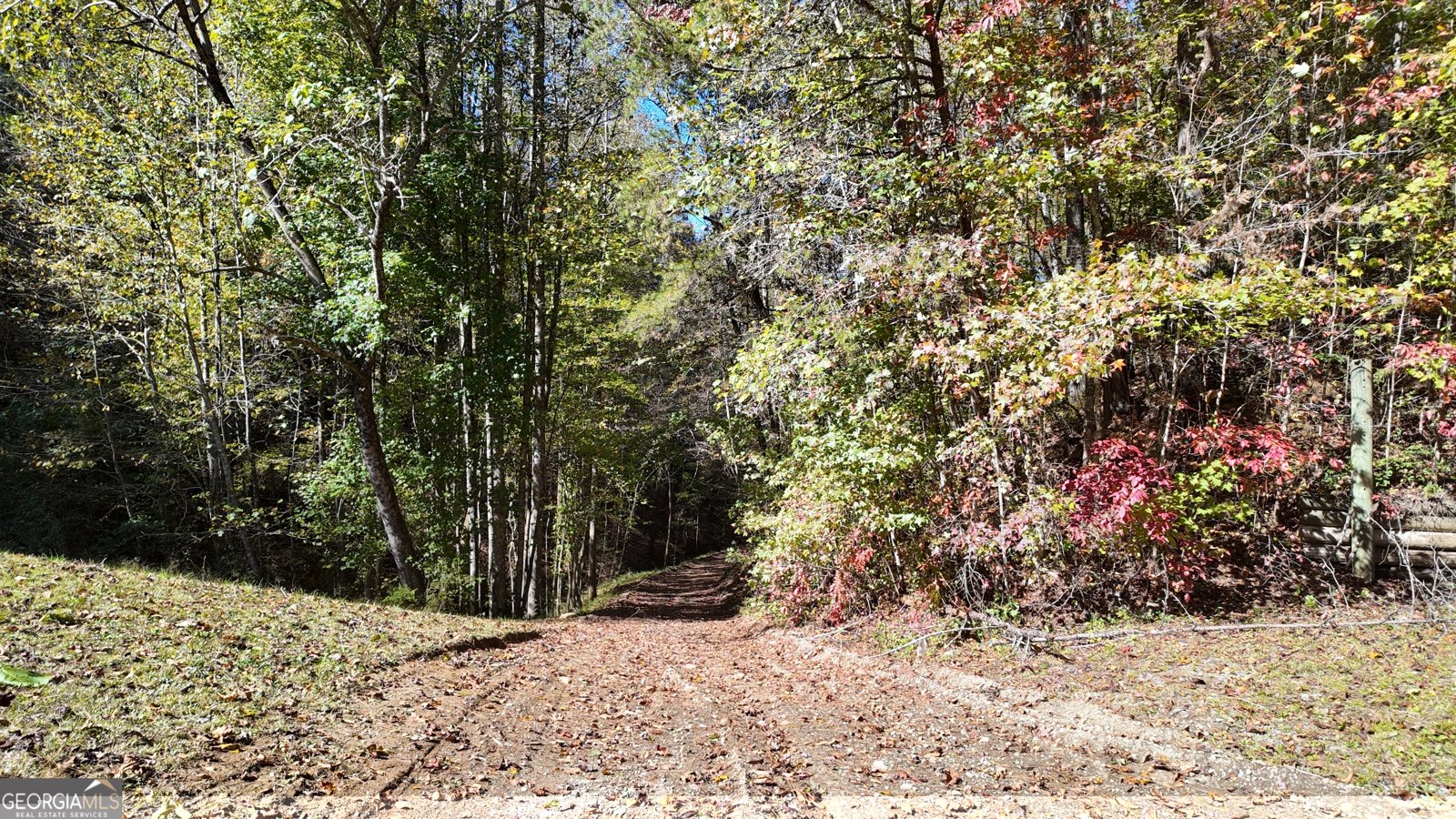 824 Conasauga Road Ellijay - 18