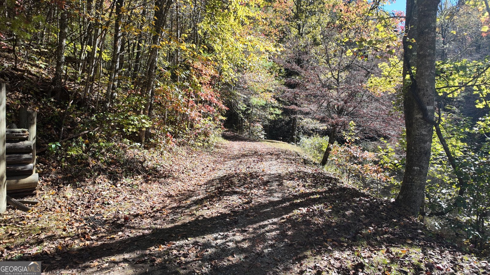 824 Conasauga Road Ellijay - 19