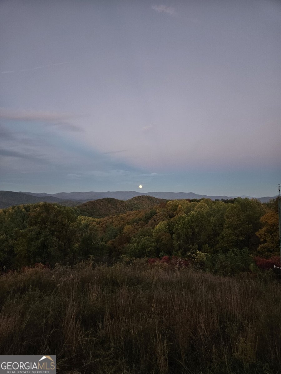 824 Conasauga Road Ellijay - 53