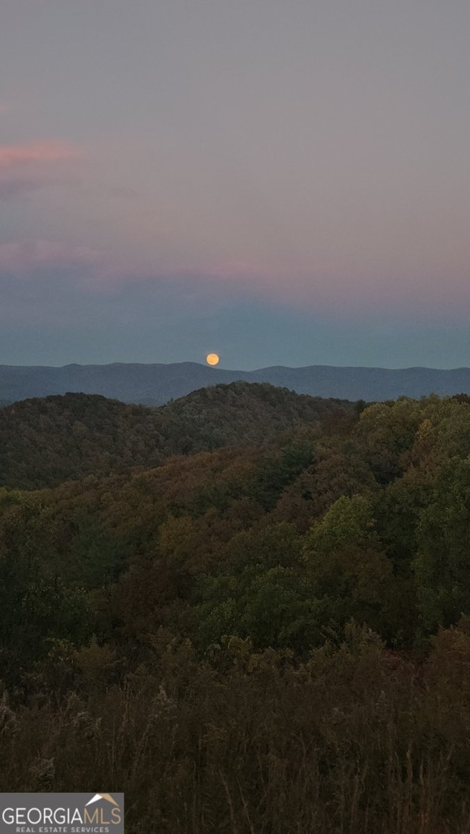 824 Conasauga Road Ellijay - 54