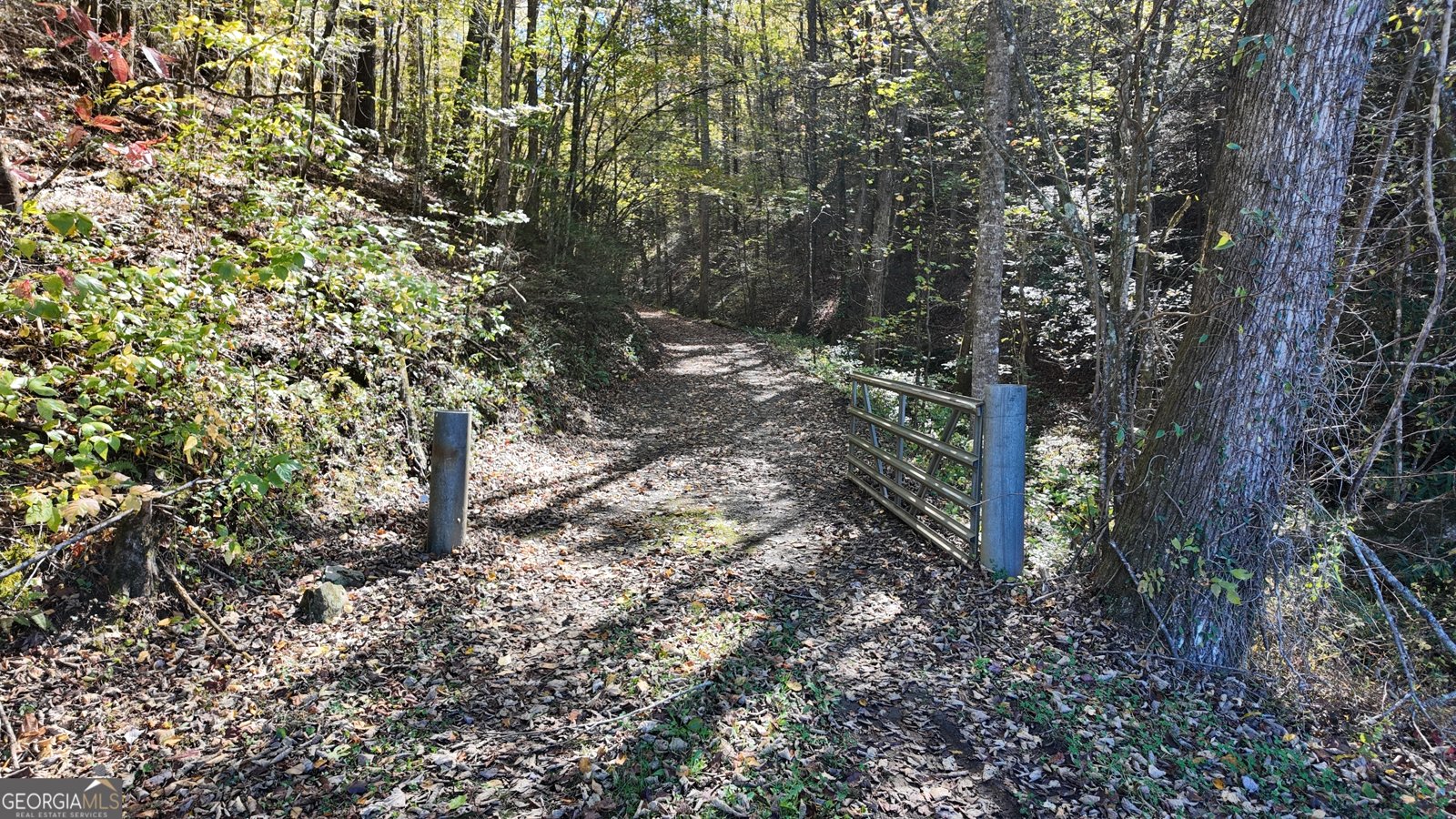 824 Conasauga Road Ellijay - 9