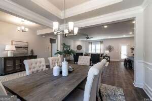 259 Eason Street Bowdon - 8