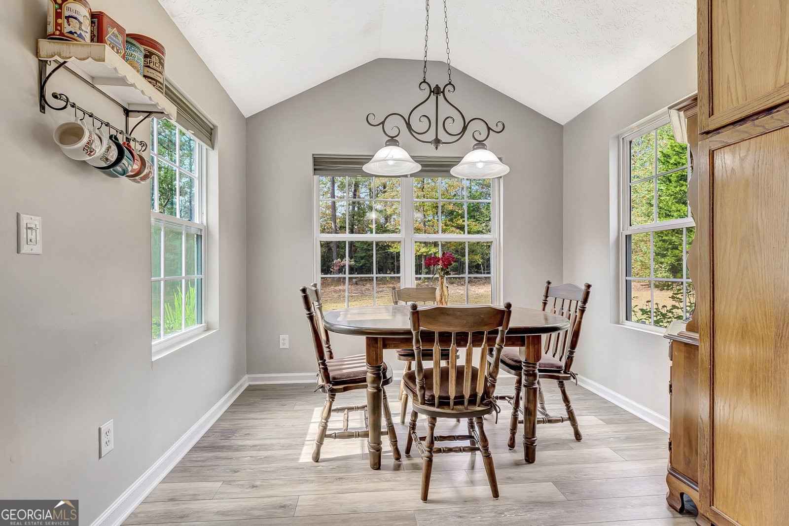 170 Old Mill Way Senoia - 18