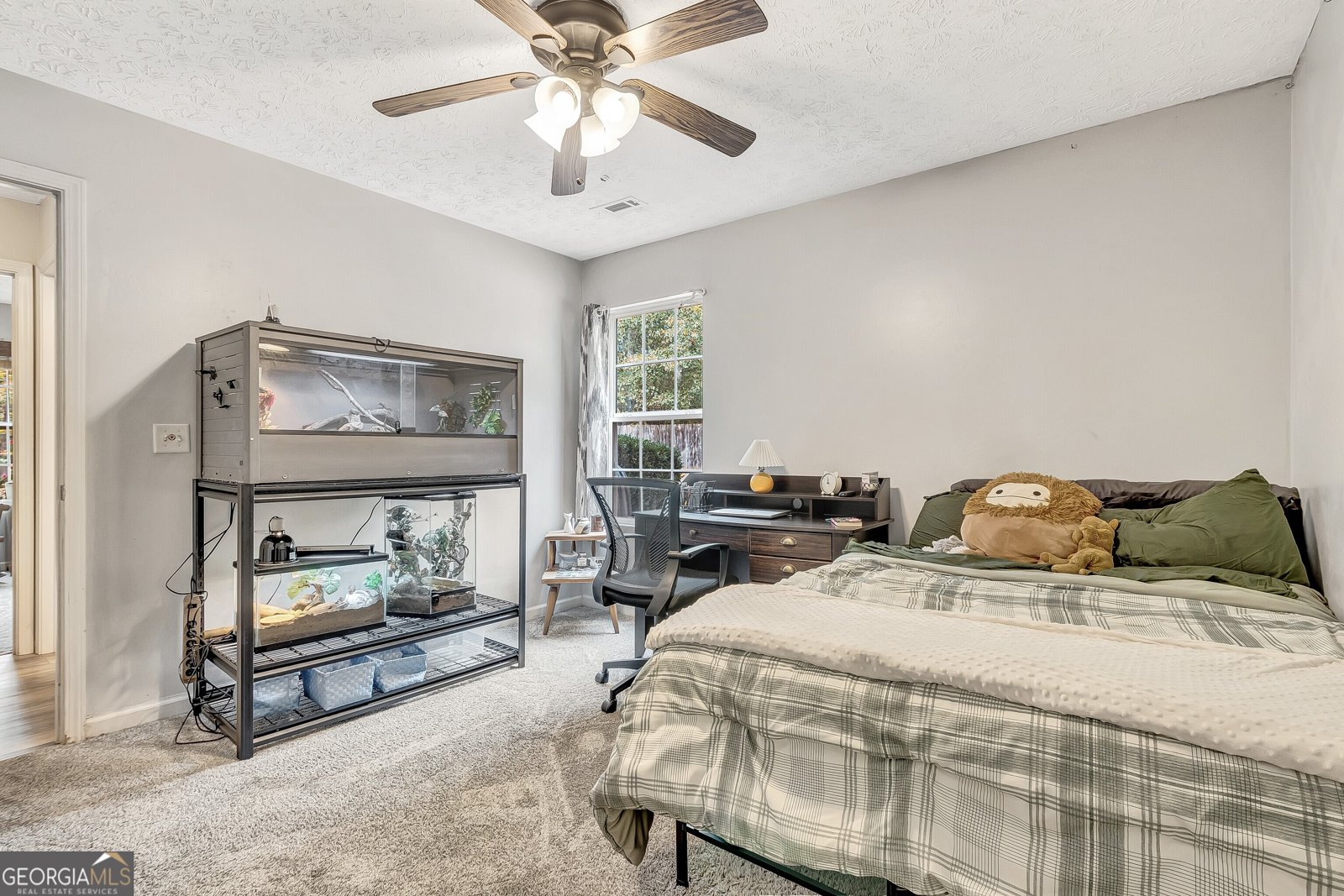 170 Old Mill Way Senoia - 23