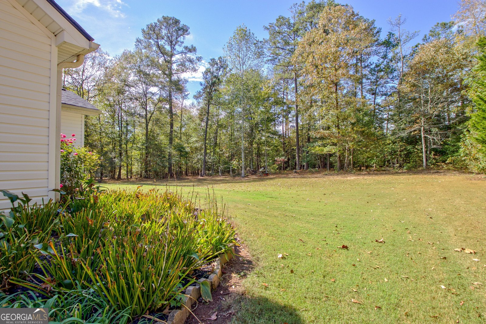 170 Old Mill Way Senoia - 32