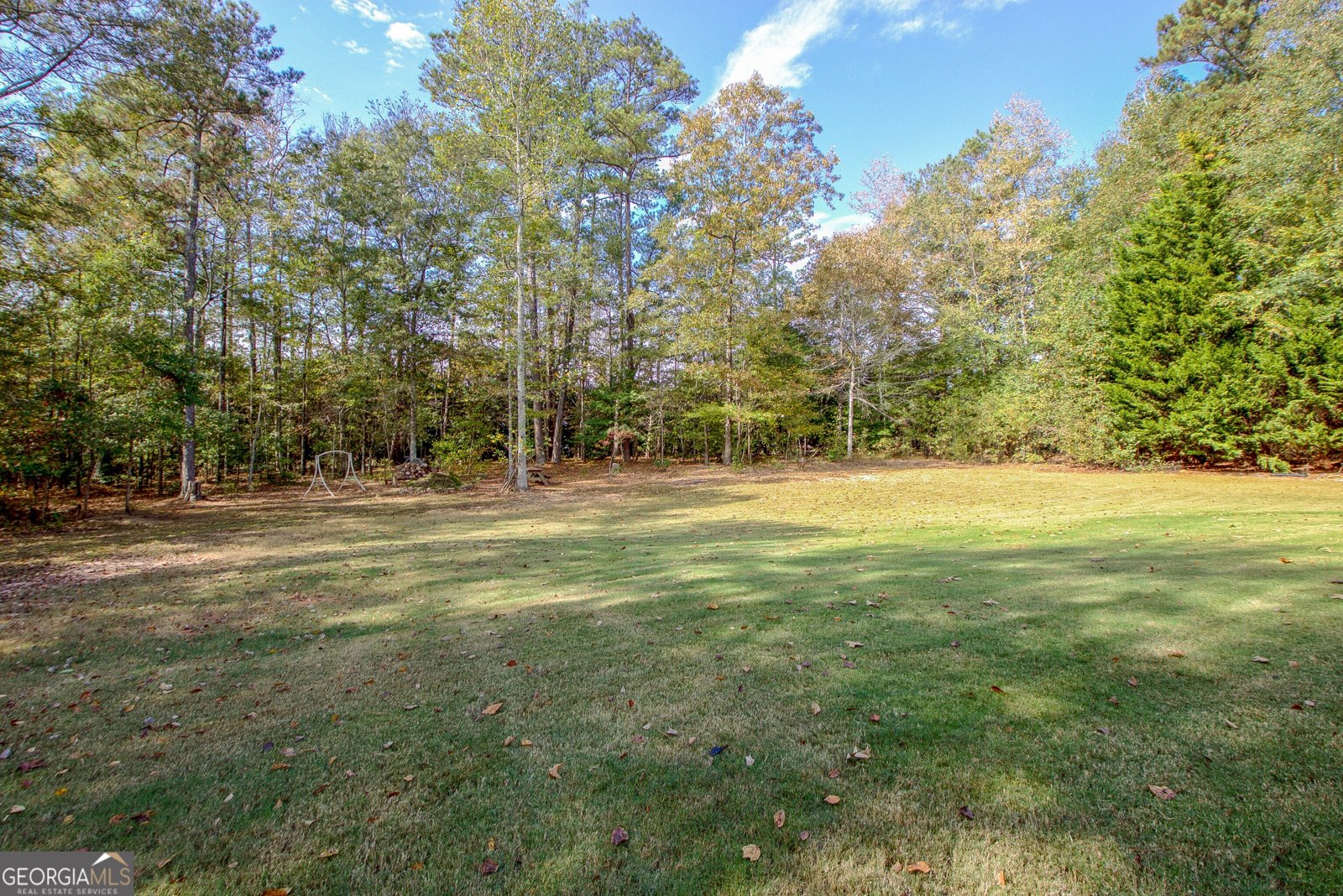 170 Old Mill Way Senoia - 35