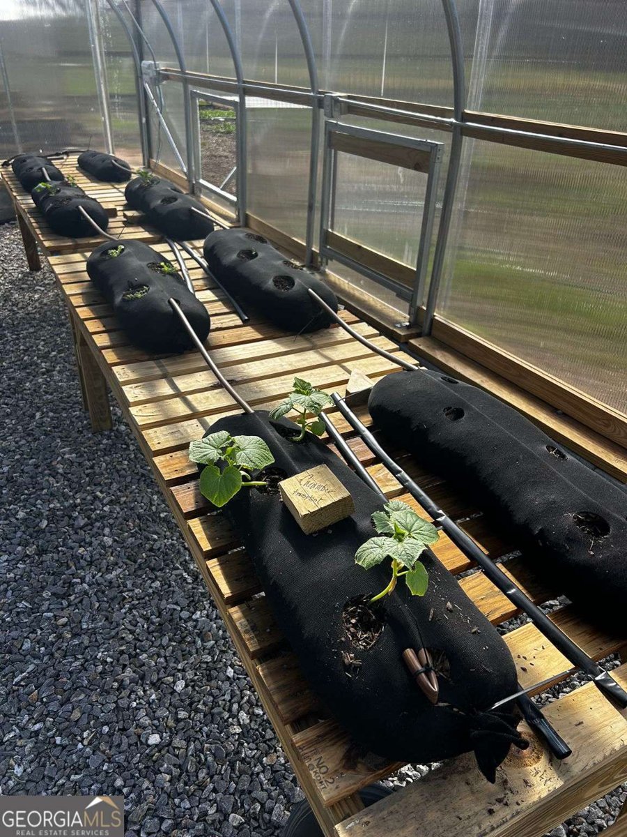 3147 Old Hwy 64W Warne - 10