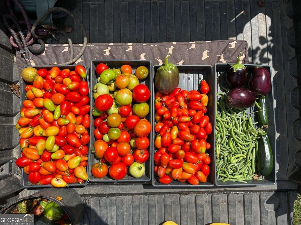 3147 Old Hwy 64W Warne - 11