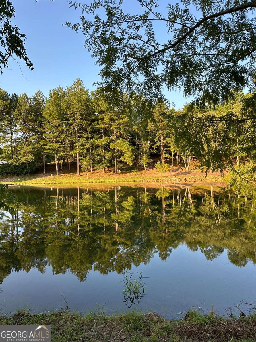 3147 Old Hwy 64W Warne - 15