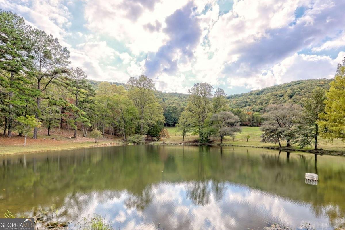 3147 Old Hwy 64W Warne - 16