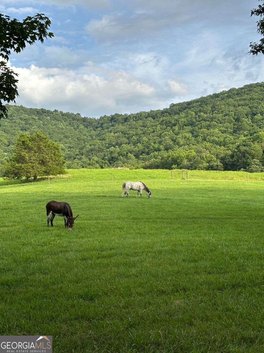 3147 Old Hwy 64W Warne - 20