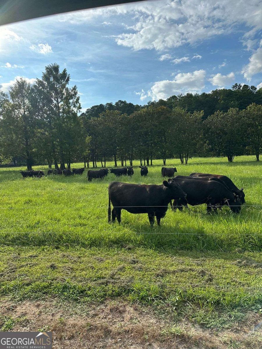 3147 Old Hwy 64W Warne - 21