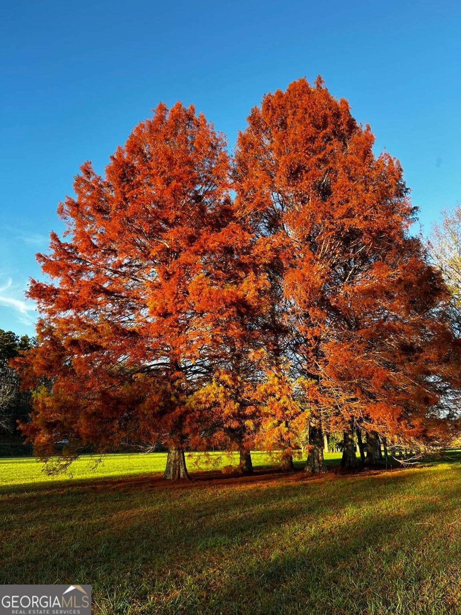 3147 Old Hwy 64W Warne - 29