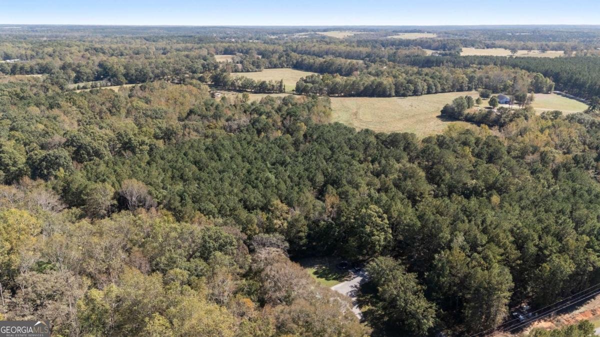 1579 Shoal Creek Road Colbert - 38