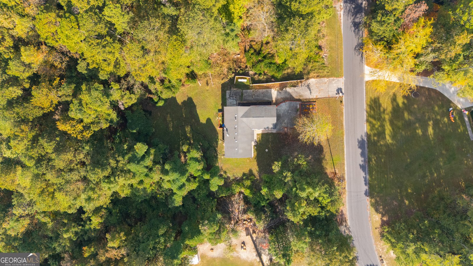 667 Alcovy forest Drive Lawrenceville - 44