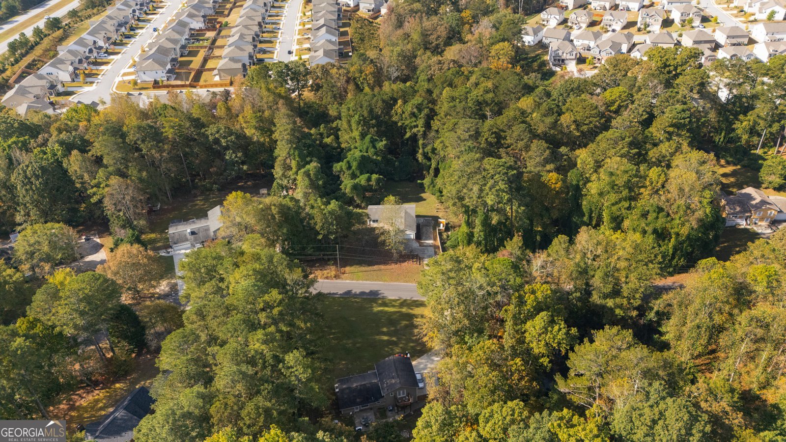 667 Alcovy forest Drive Lawrenceville - 52