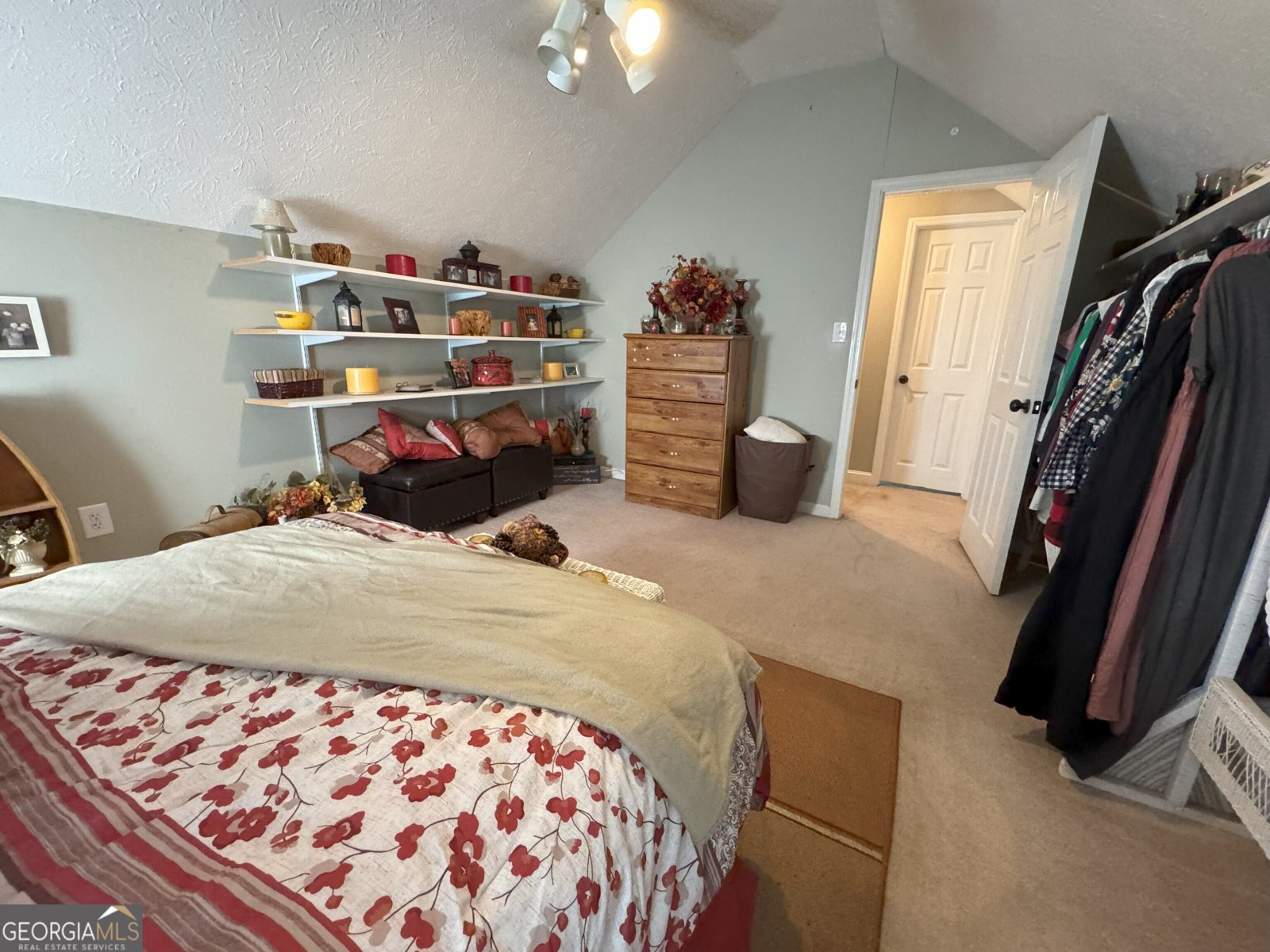 165 Shadow Moss Drive Athens - 17