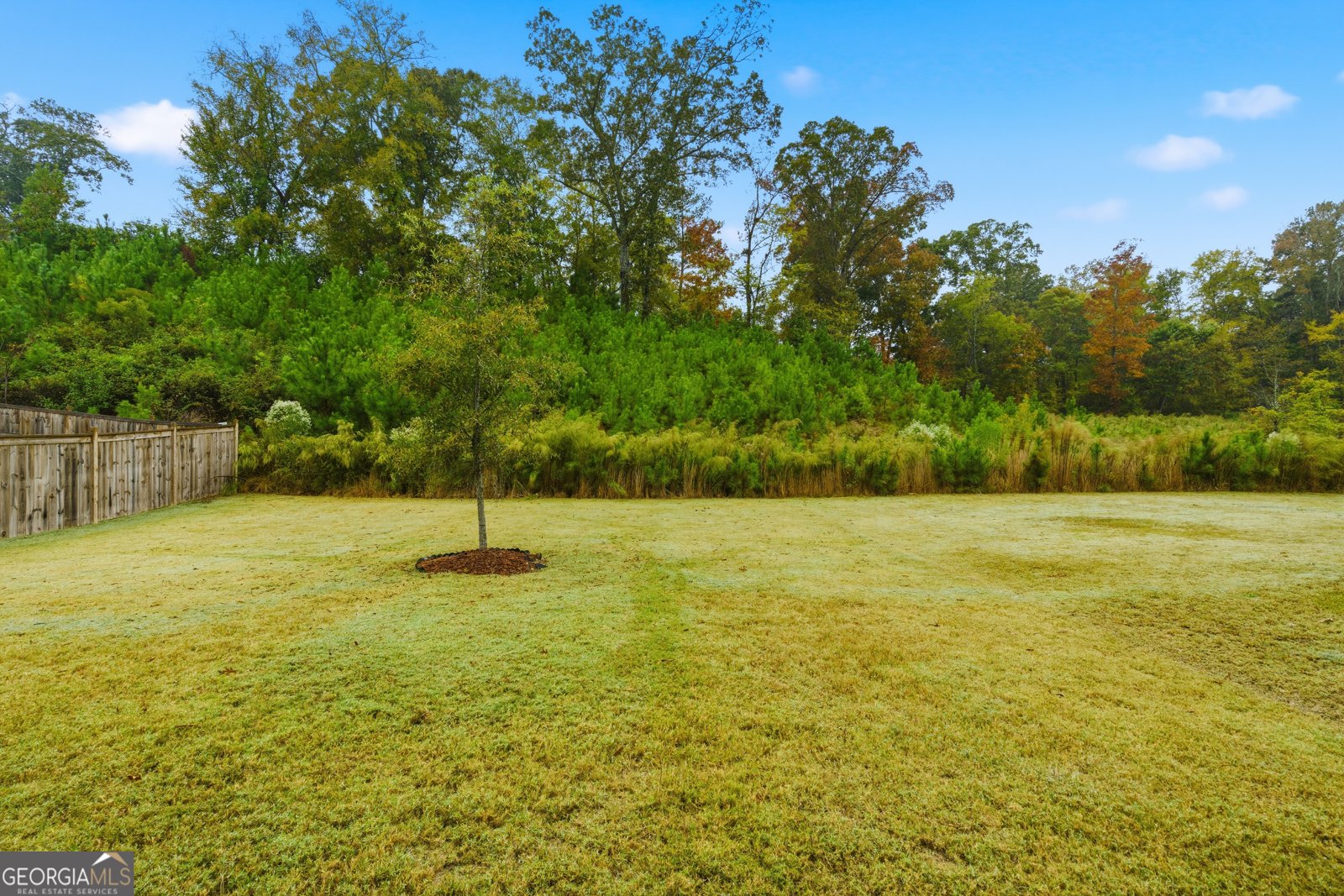 9014 Jim Purcell Drive Covington - 29