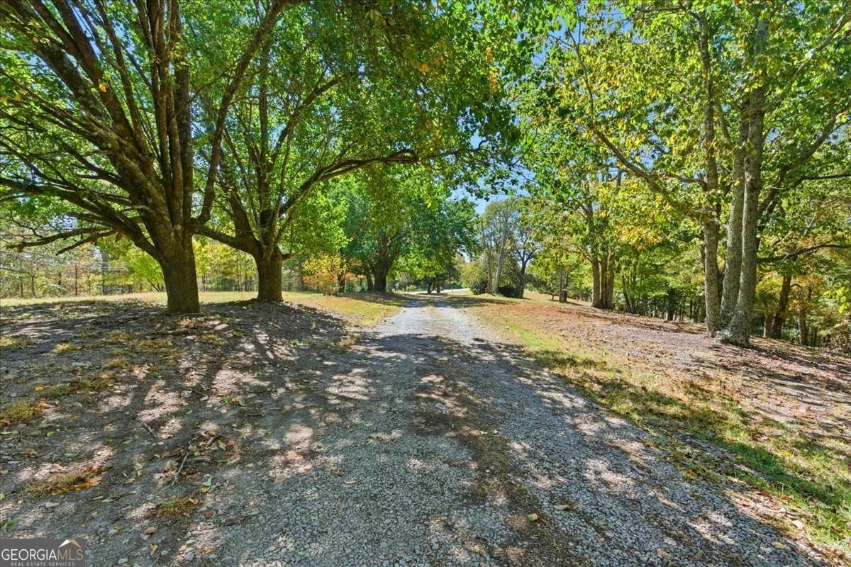 1509 High Point Road Bowdon - Photo 53