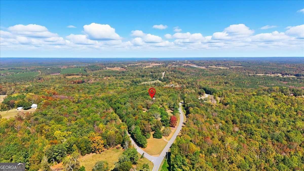 1509 High Point Road Bowdon - Photo 56