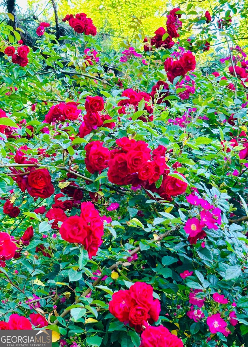 1509 High Point Road Bowdon - Photo 59