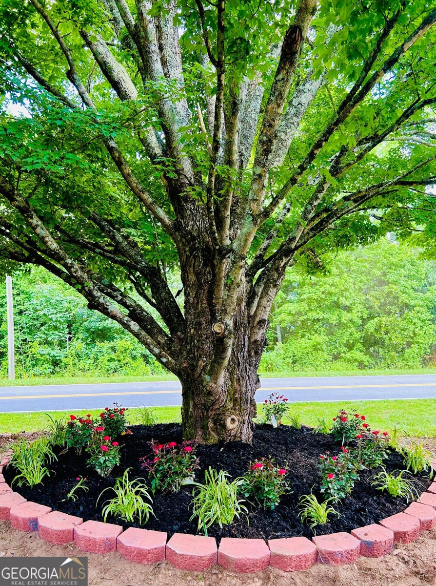 1509 High Point Road Bowdon - Photo 60