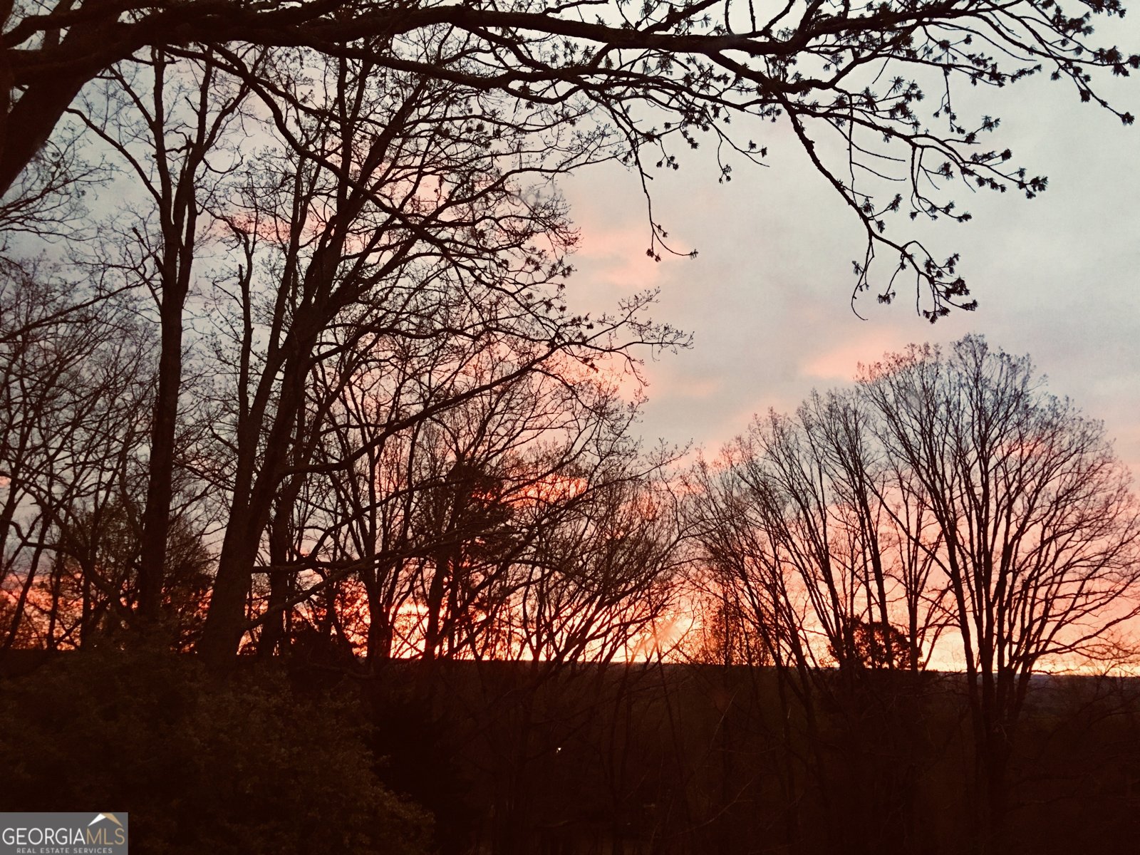 1509 High Point Road Bowdon - Photo 61