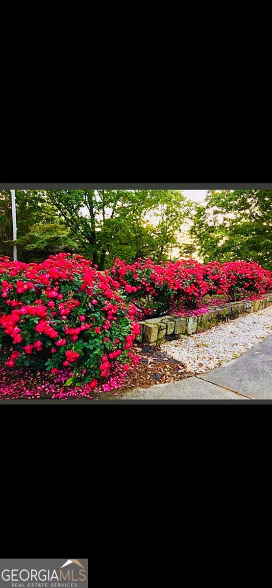 1509 High Point Road Bowdon - Photo 63