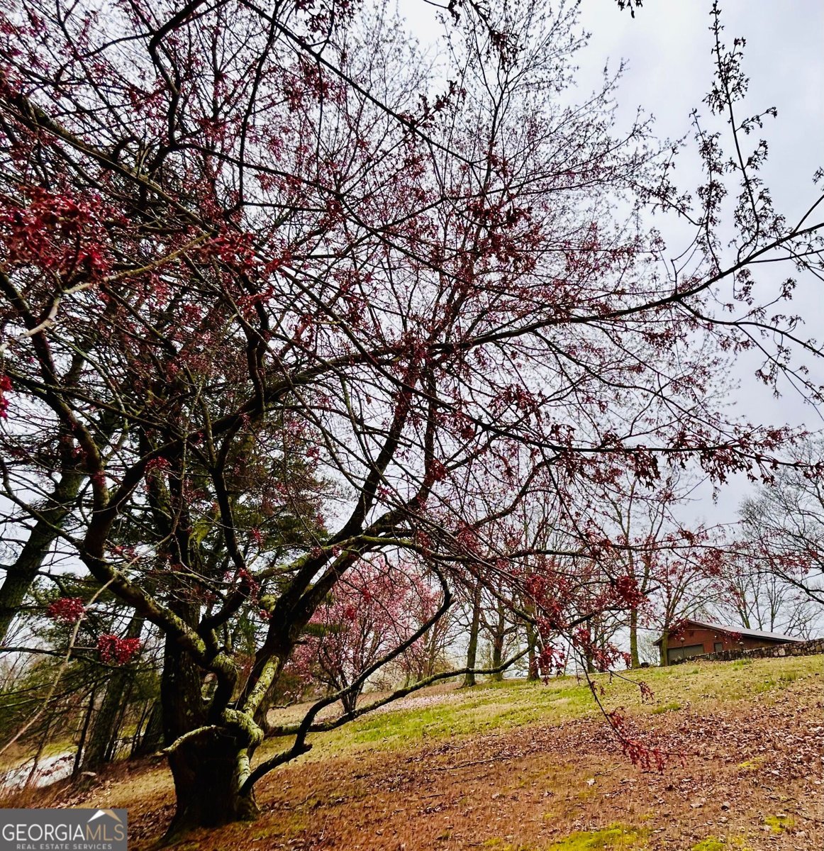 1509 High Point Road Bowdon - Photo 67