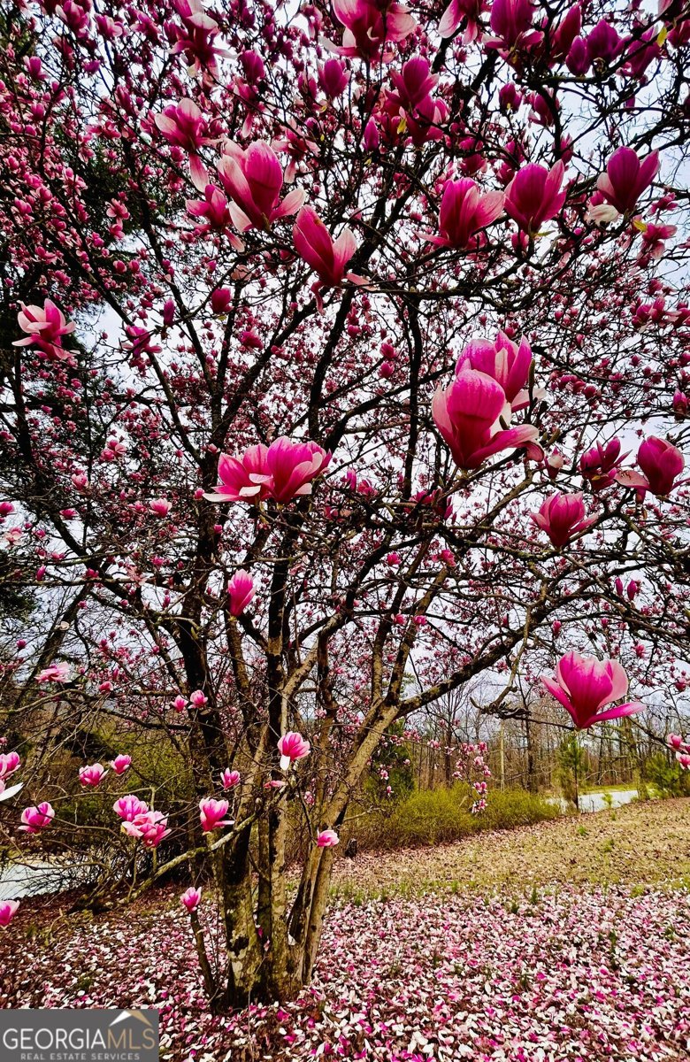 1509 High Point Road Bowdon - Photo 68