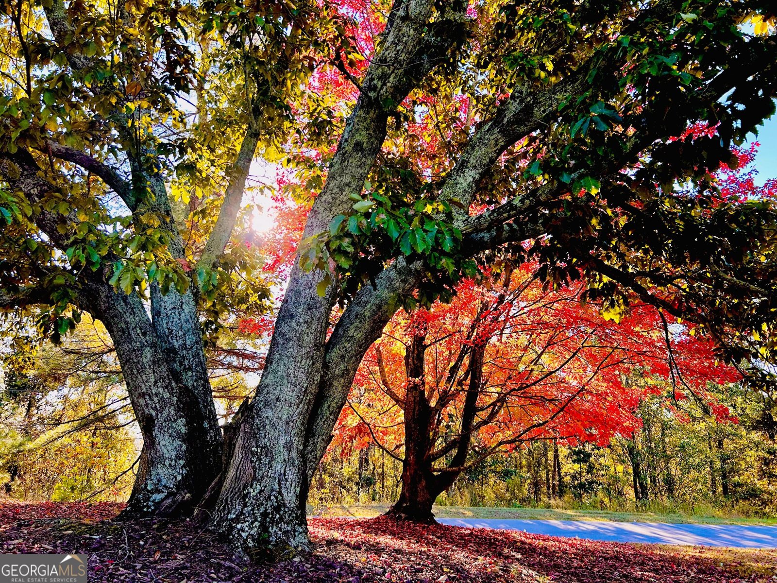 1509 High Point Road Bowdon - Photo 69