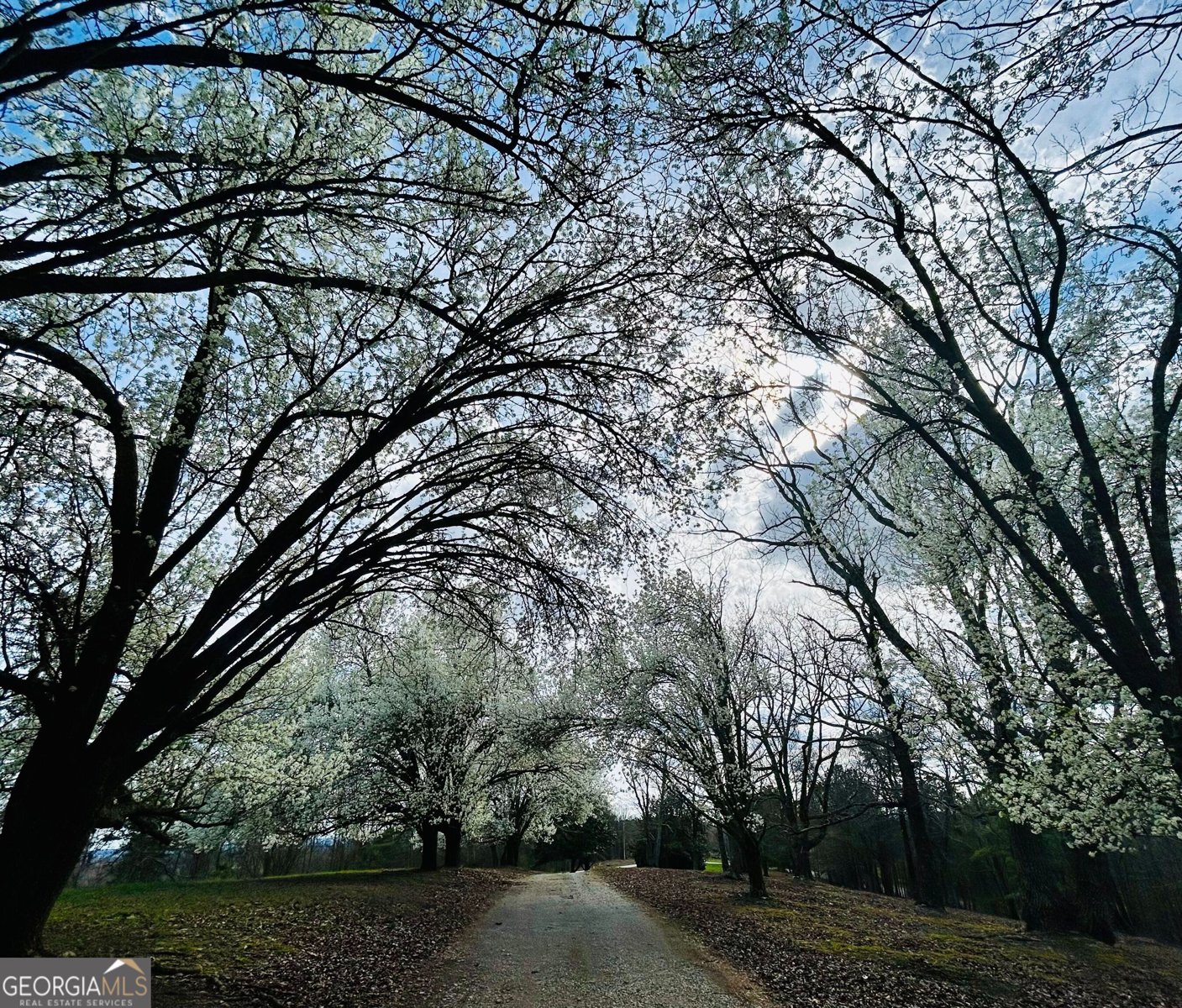 1509 High Point Road Bowdon - Photo 70