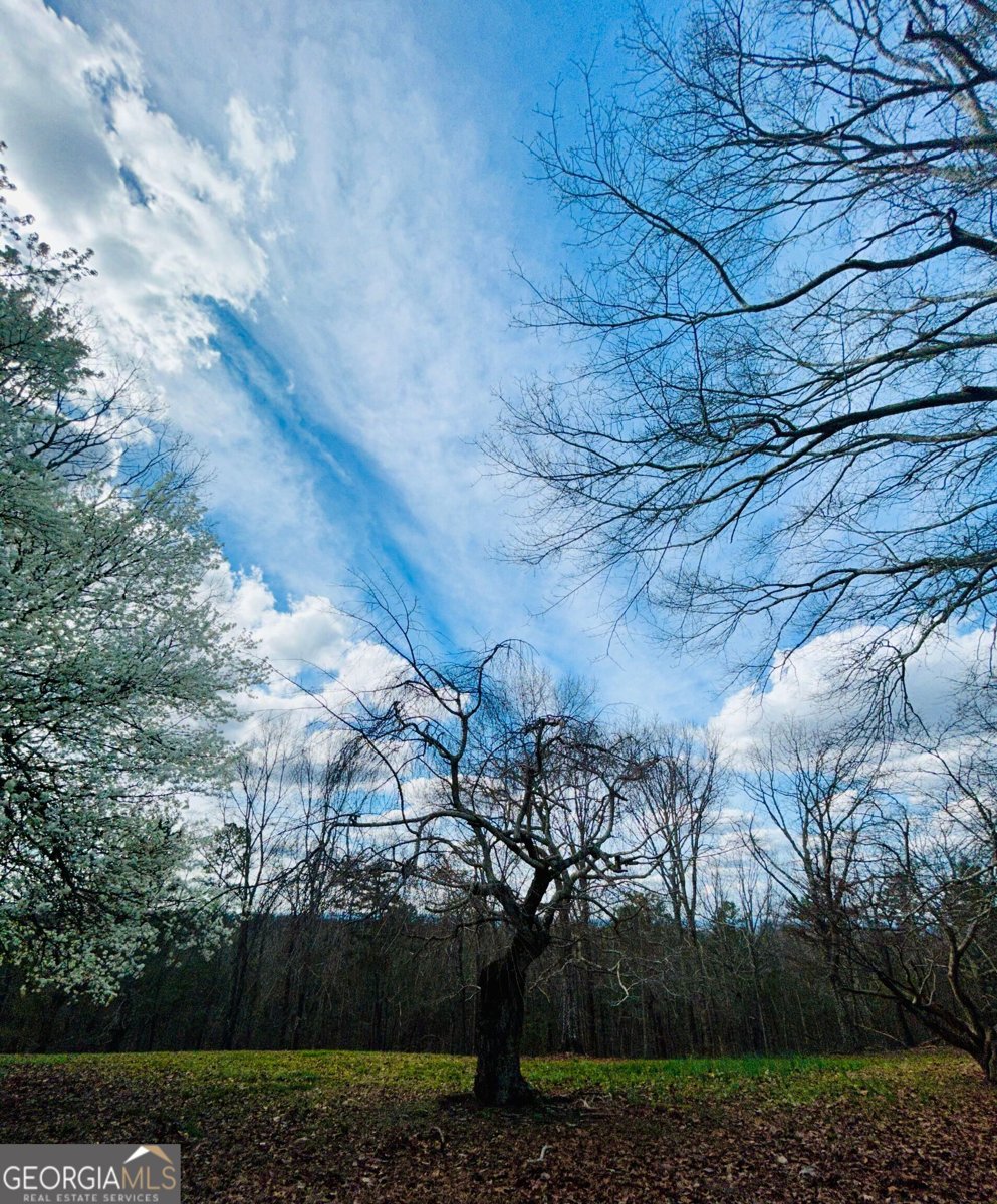 1509 High Point Road Bowdon - Photo 71