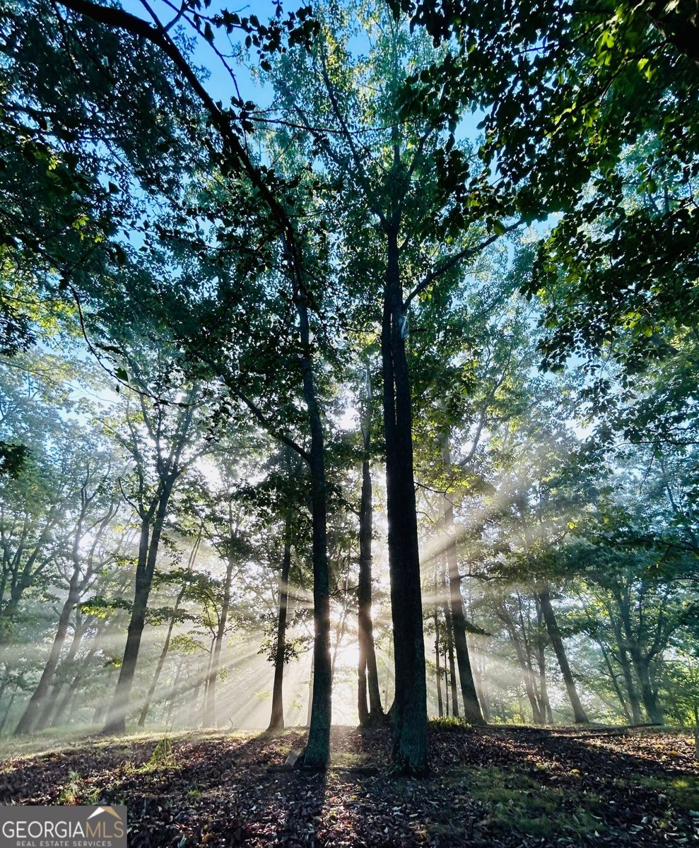 1509 High Point Road Bowdon - Photo 74