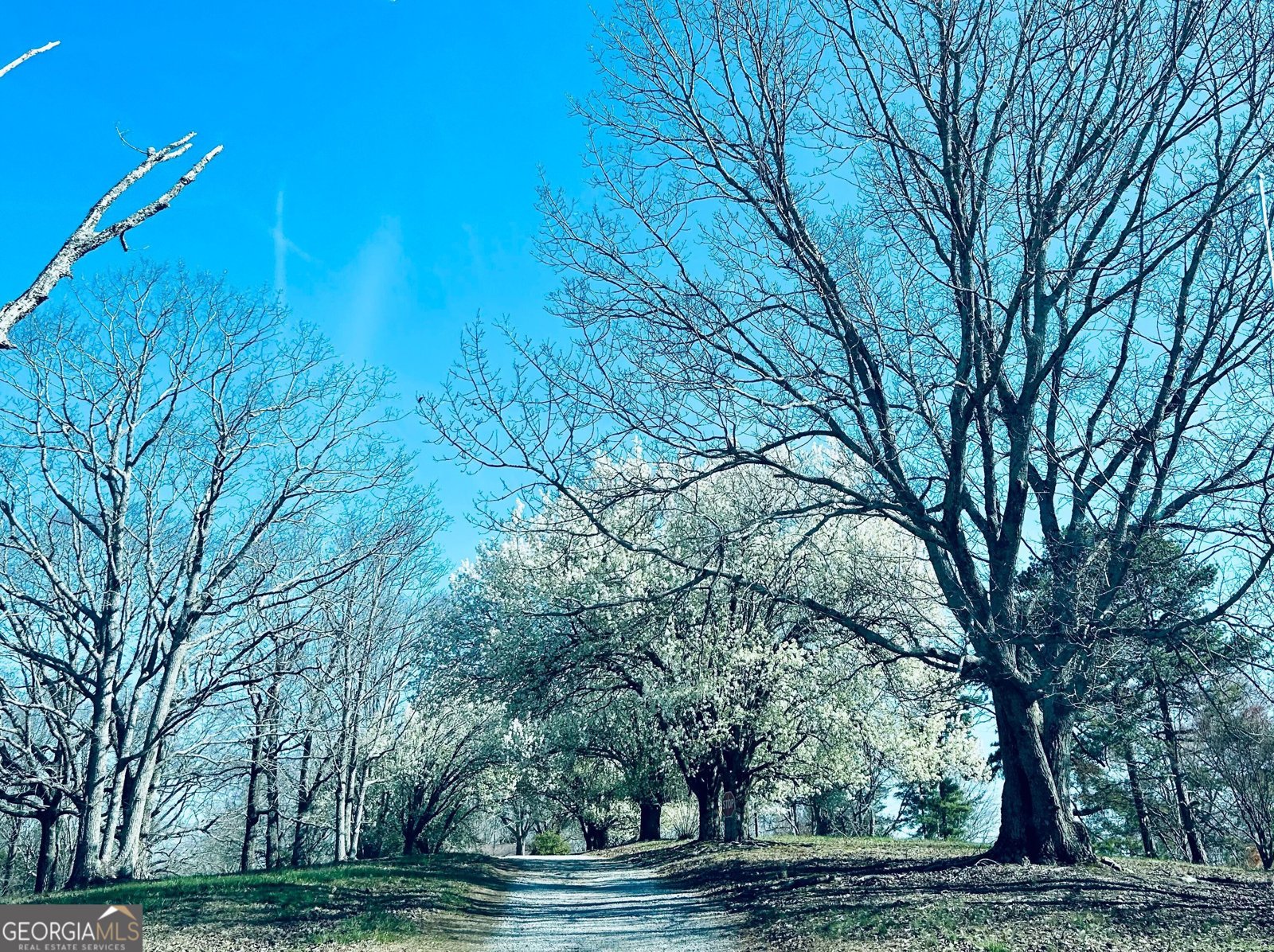 1509 High Point Road Bowdon - Photo 75