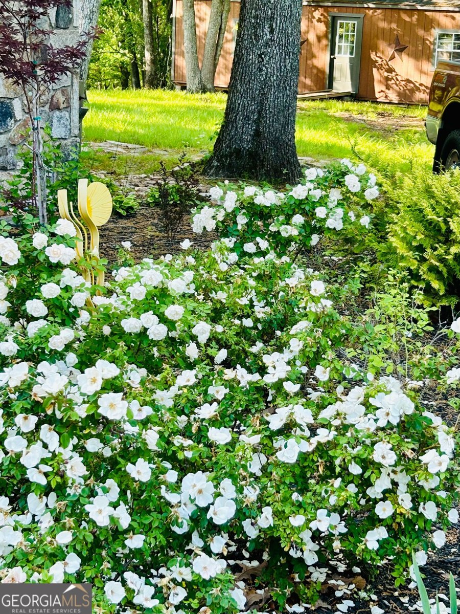 1509 High Point Road Bowdon - Photo 76