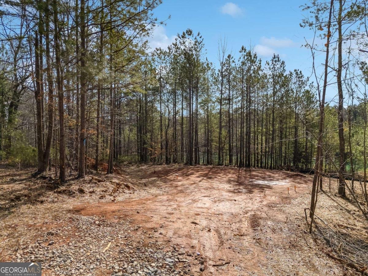 TRACTB Clover Path Dallas - 39