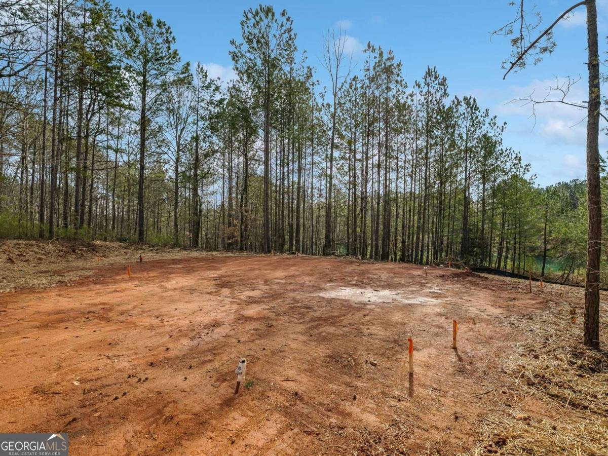 TRACTB Clover Path Dallas - 40