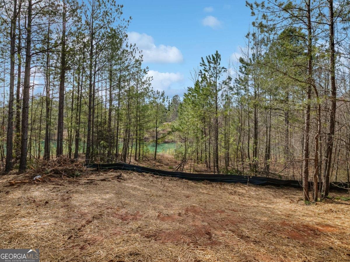 TRACTB Clover Path Dallas - 41