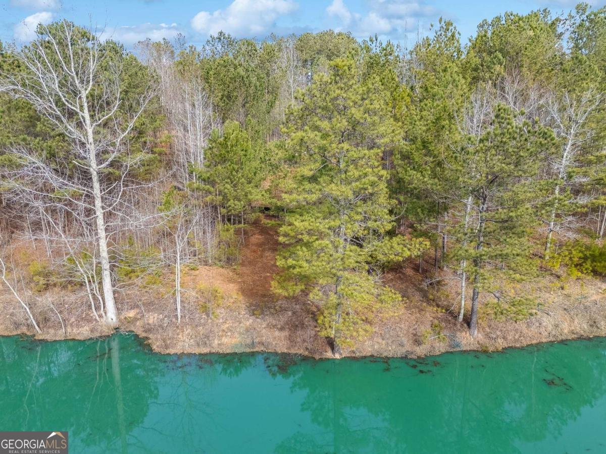 TRACTB Clover Path Dallas - 50