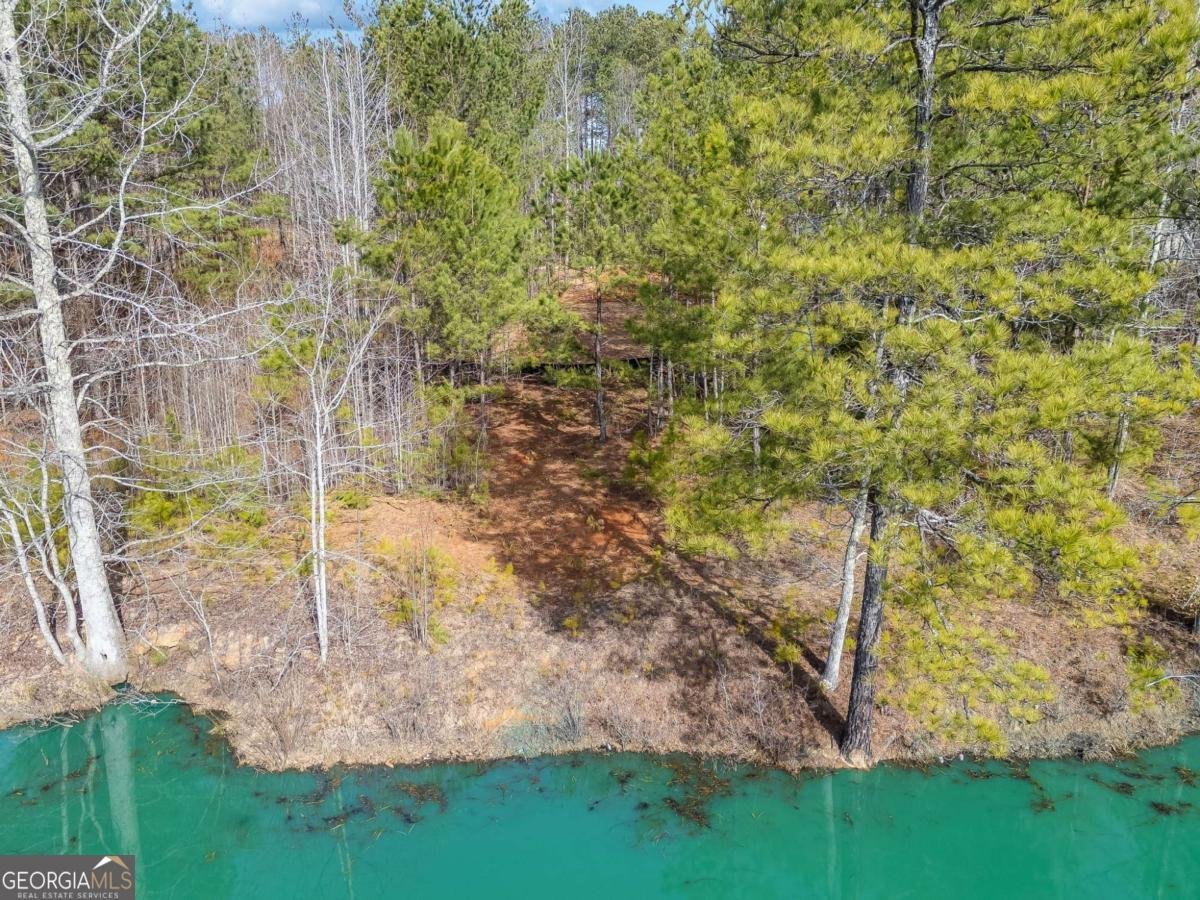 TRACTB Clover Path Dallas - 51